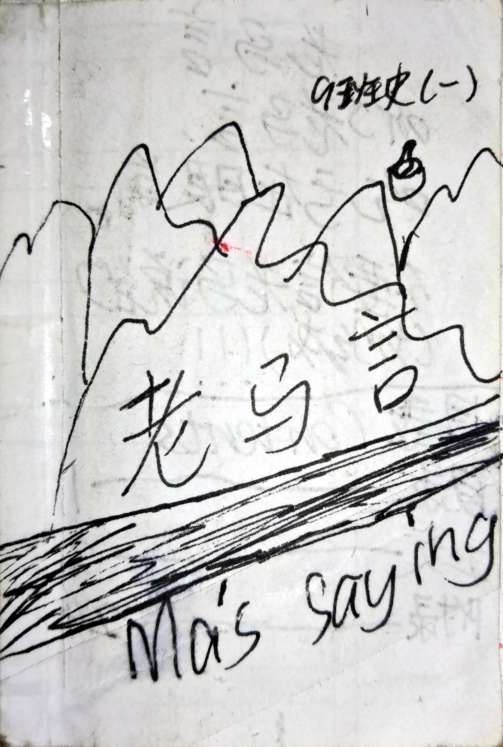 《老马言》书影